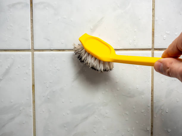  Louise, TX Mold Removal Pros